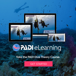 Dive Theory Elearning